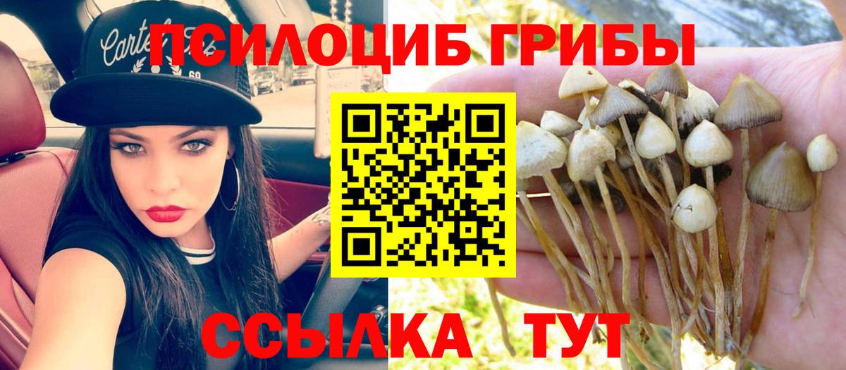Рыбинск  Галлюциногенные грибы Psilocybe  как найти   Вход с VPN 