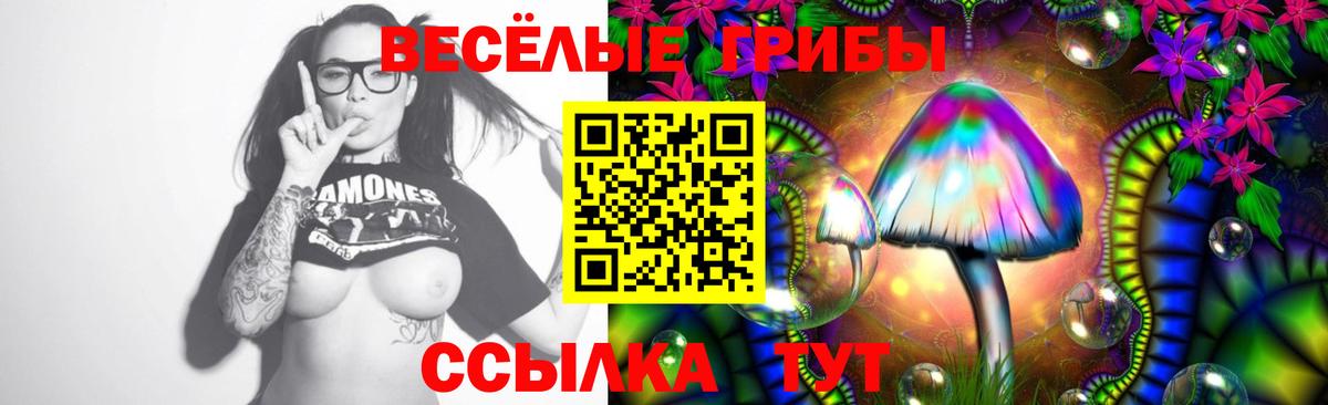Галлюциногенные грибы GOLDEN TEACHER Рыбинск